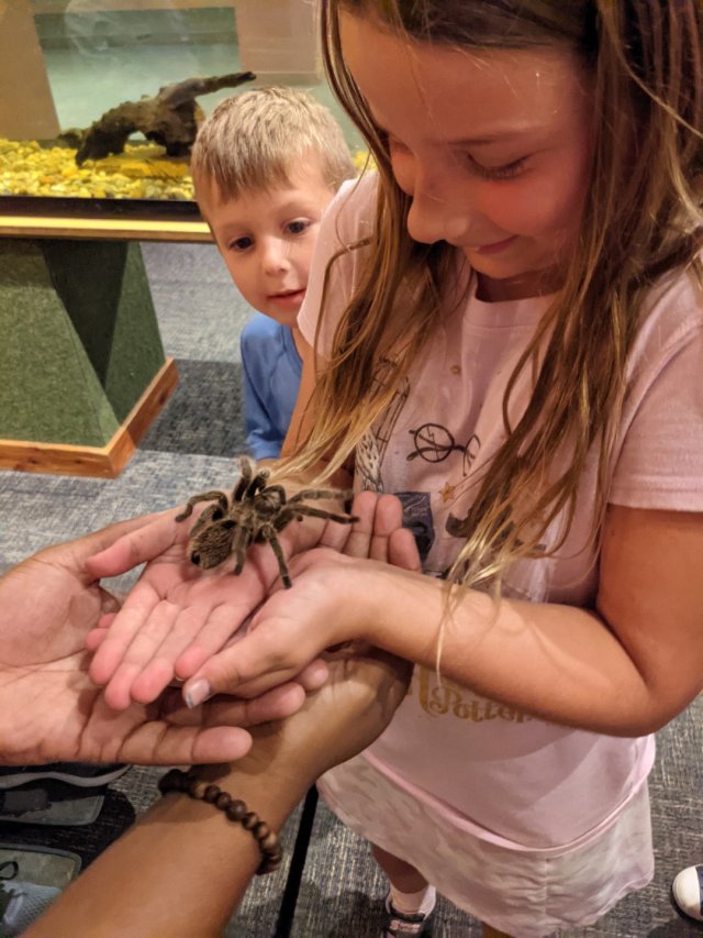 Spider Girl
